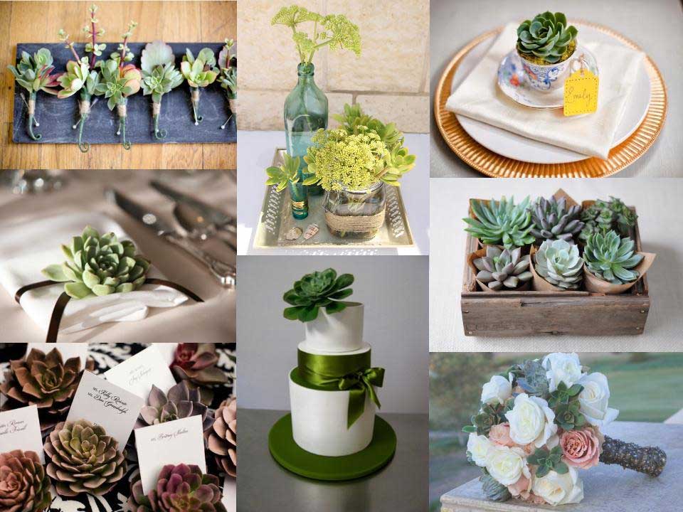 details idees accessoire deco mariage avec des plantes succulentes